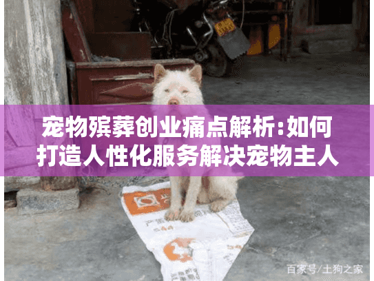 宠物殡葬创业痛点解析:如何打造人性化服务解决宠物主人悲伤?