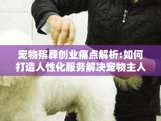 宠物殡葬创业痛点解析:如何打造人性化服务解决宠物主人悲伤?