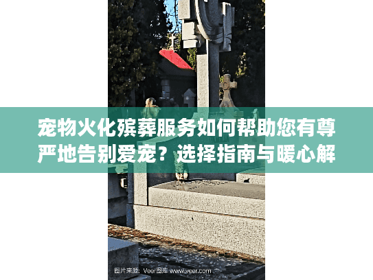 宠物火化殡葬服务如何帮助您有尊严地告别爱宠？选择指南与暖心解答