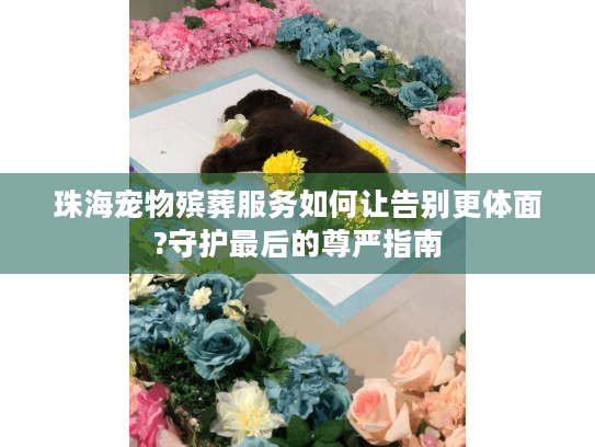 珠海宠物殡葬服务如何让告别更体面?守护最后的尊严指南