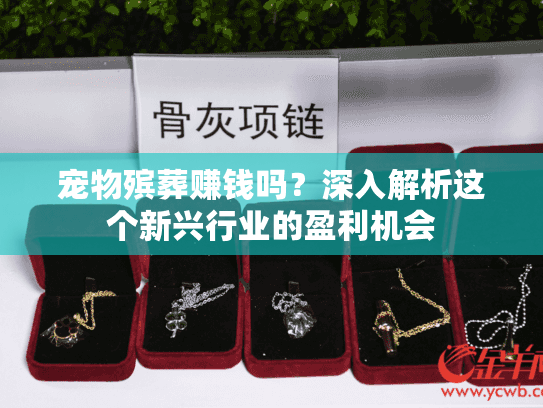 宠物殡葬赚钱吗？深入解析这个新兴行业的盈利机会