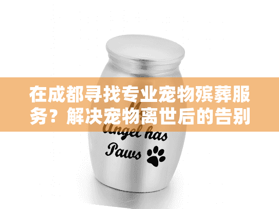 在成都寻找专业宠物殡葬服务？解决宠物离世后的告别难题