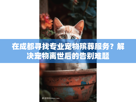 在成都寻找专业宠物殡葬服务？解决宠物离世后的告别难题