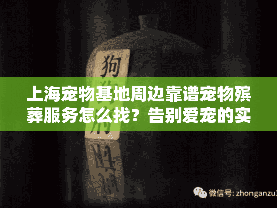 上海宠物基地周边靠谱宠物殡葬服务怎么找？告别爱宠的实用指南