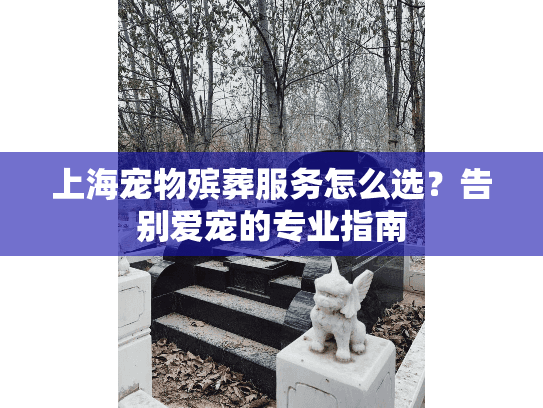 上海宠物殡葬服务怎么选？告别爱宠的专业指南