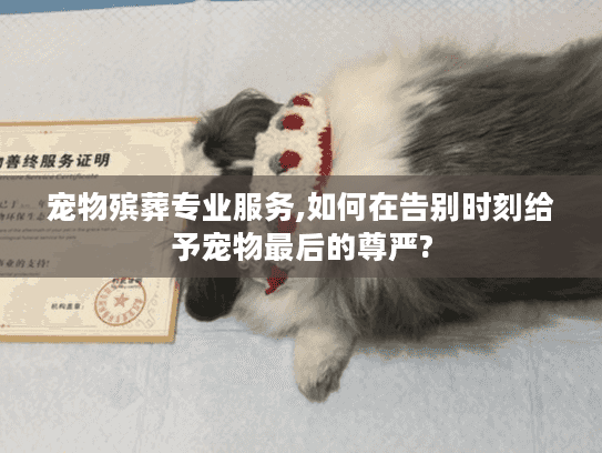 宠物殡葬专业服务,如何在告别时刻给予宠物最后的尊严?