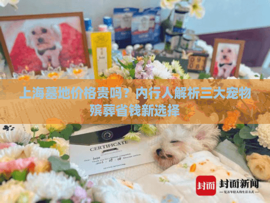 上海墓地价格贵吗？内行人解析三大宠物殡葬省钱新选择