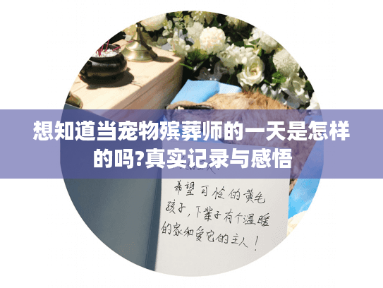 想知道当宠物殡葬师的一天是怎样的吗?真实记录与感悟