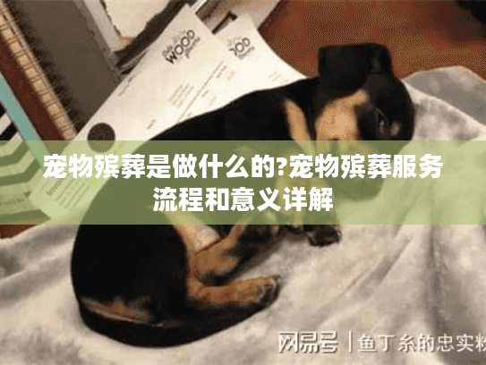 宠物殡葬是做什么的?宠物殡葬服务流程和意义详解