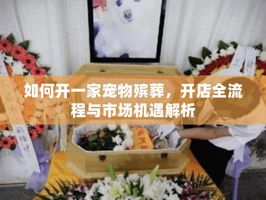 如何开一家宠物殡葬，开店全流程与市场机遇解析