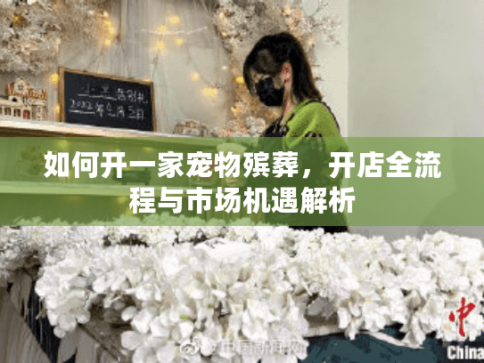 如何开一家宠物殡葬，开店全流程与市场机遇解析