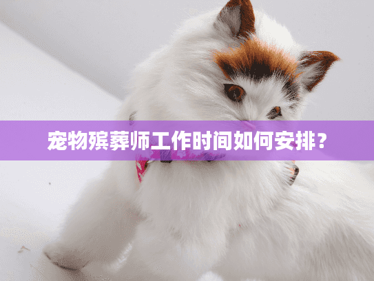 宠物殡葬师工作时间如何安排？