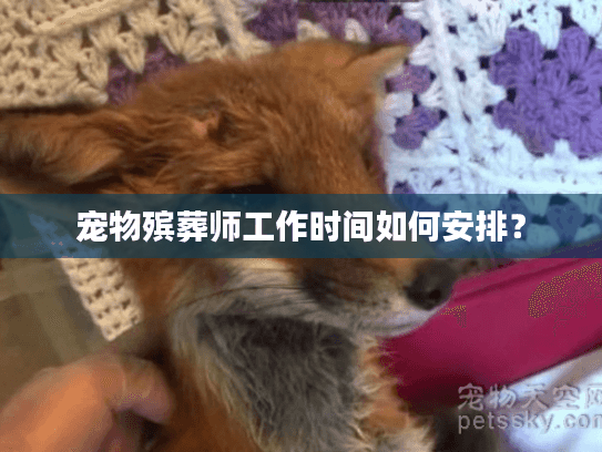 宠物殡葬师工作时间如何安排？