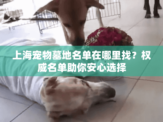 上海宠物墓地名单在哪里找？权威名单助你安心选择