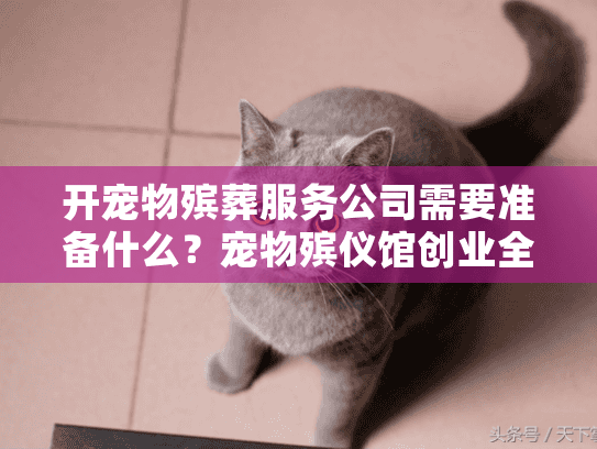 开宠物殡葬服务公司需要准备什么？宠物殡仪馆创业全流程指南
