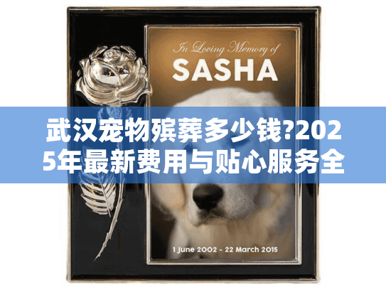 武汉宠物殡葬多少钱?2025年最新费用与贴心服务全指南