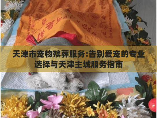 天津市宠物殡葬服务:告别爱宠的专业选择与天津主城服务指南