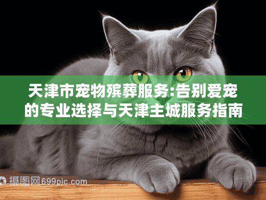 天津市宠物殡葬服务:告别爱宠的专业选择与天津主城服务指南
