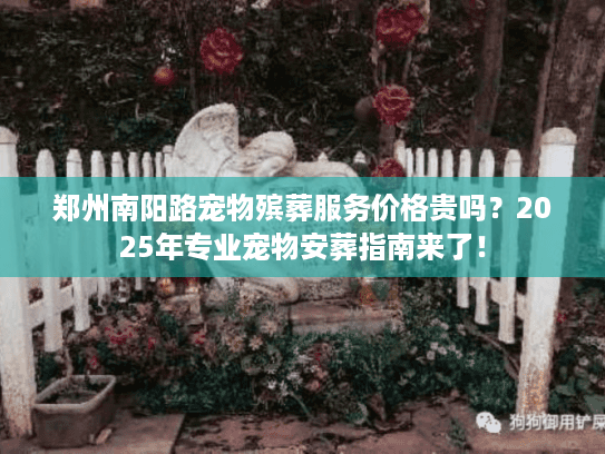 郑州南阳路宠物殡葬服务价格贵吗？2025年专业宠物安葬指南来了！