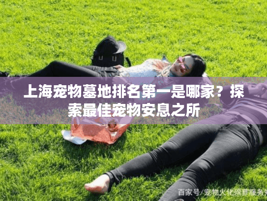 上海宠物墓地排名第一是哪家？探索最佳宠物安息之所