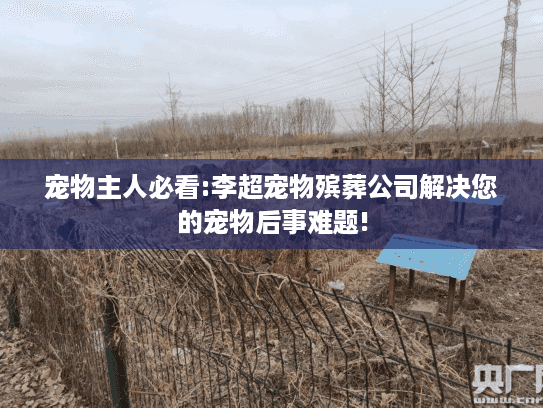 宠物主人必看:李超宠物殡葬公司解决您的宠物后事难题!