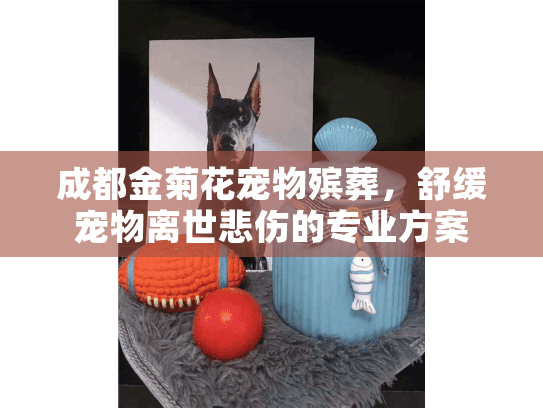 成都金菊花宠物殡葬，舒缓宠物离世悲伤的专业方案