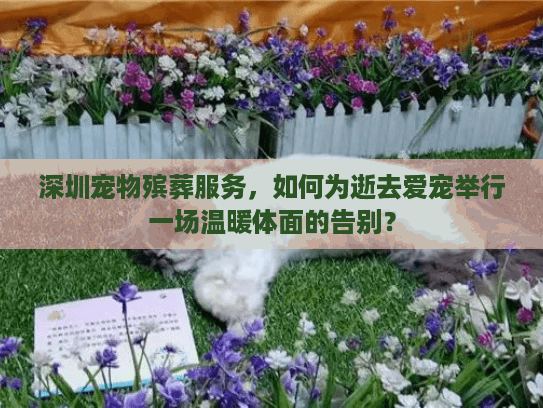 深圳宠物殡葬服务,如何为逝去爱宠举行一场温暖体面的告别? 深圳宠物殡葬服务,如何为逝去爱宠举行一场温暖体面的告别?