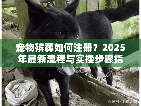 宠物殡葬如何注册？2025年最新流程与实操步骤指南