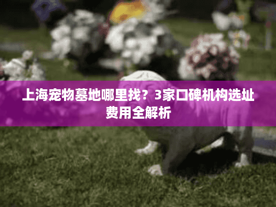上海宠物墓地哪里找？3家口碑机构选址费用全解析