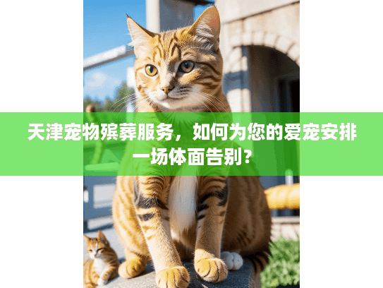 天津宠物殡葬服务，如何为您的爱宠安排一场体面告别？