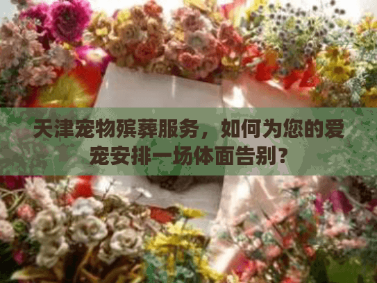 天津宠物殡葬服务，如何为您的爱宠安排一场体面告别？