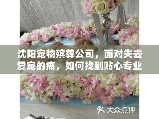 沈阳宠物殡葬公司，面对失去爱宠的痛，如何找到贴心专业服务？