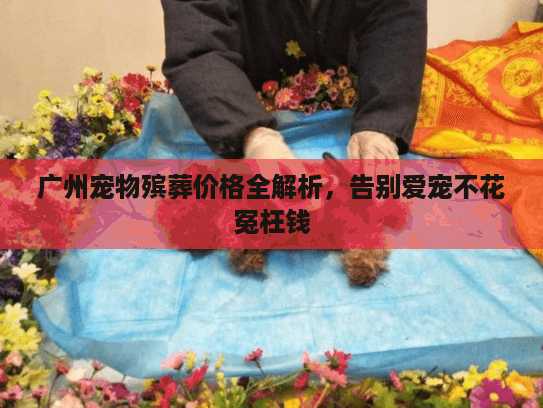 广州宠物殡葬价格全解析，告别爱宠不花冤枉钱