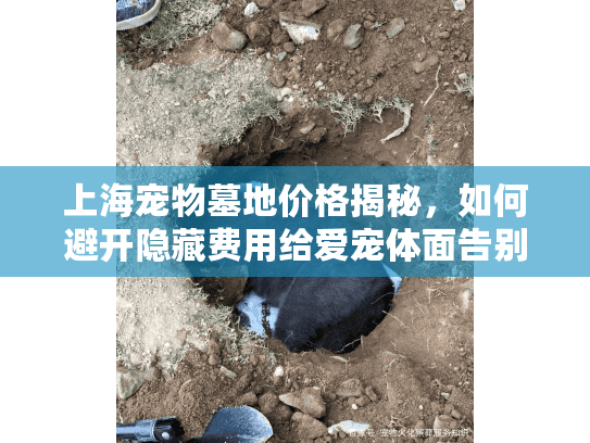 上海宠物墓地价格揭秘，如何避开隐藏费用给爱宠体面告别