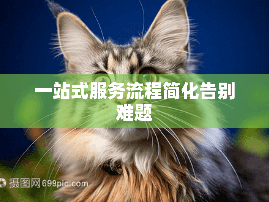 一站式服务流程简化告别难题