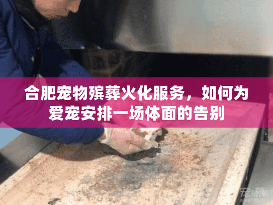 合肥宠物殡葬火化服务，如何为爱宠安排一场体面的告别