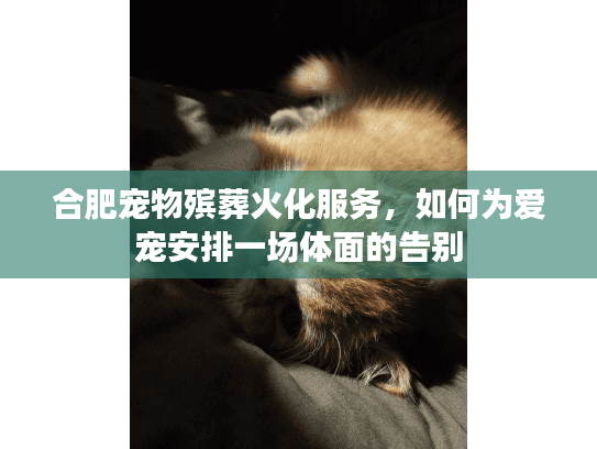 合肥宠物殡葬火化服务，如何为爱宠安排一场体面的告别