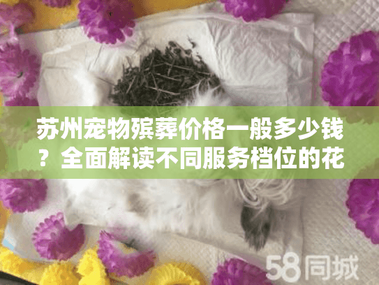 苏州宠物殡葬价格一般多少钱？全面解读不同服务档位的花费明细