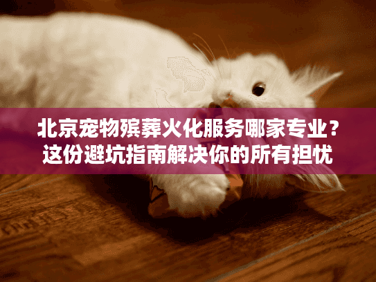 北京宠物殡葬火化服务哪家专业？这份避坑指南解决你的所有担忧
