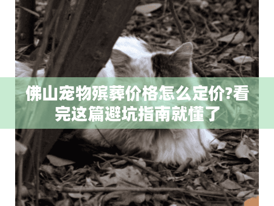 佛山宠物殡葬价格怎么定价?看完这篇避坑指南就懂了