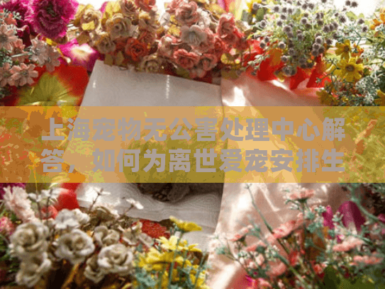 上海宠物无公害处理中心解答，如何为离世爱宠安排生态安葬？