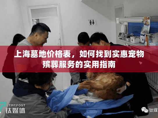 上海墓地价格表，如何找到实惠宠物殡葬服务的实用指南