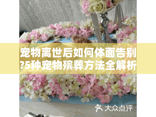 宠物离世后如何体面告别?5种宠物殡葬方法全解析