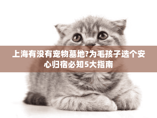 上海有没有宠物墓地?为毛孩子选个安心归宿必知5大指南