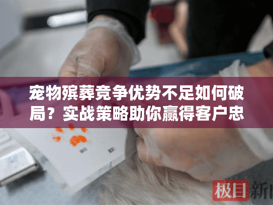 宠物殡葬竞争优势不足如何破局？实战策略助你赢得客户忠诚