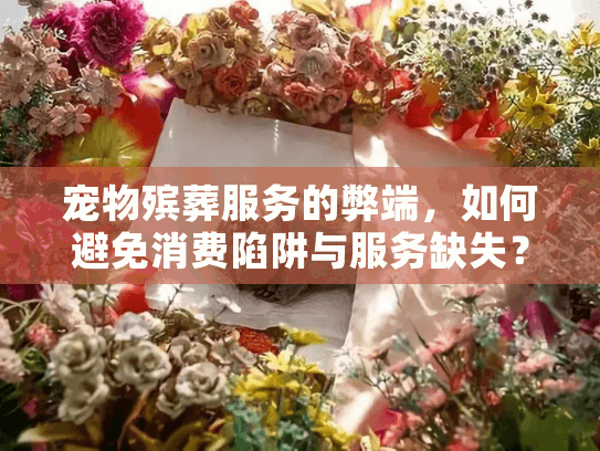 宠物殡葬服务的弊端，如何避免消费陷阱与服务缺失？