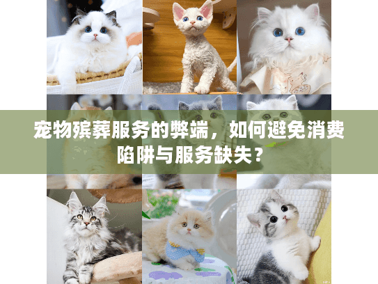 宠物殡葬服务的弊端，如何避免消费陷阱与服务缺失？