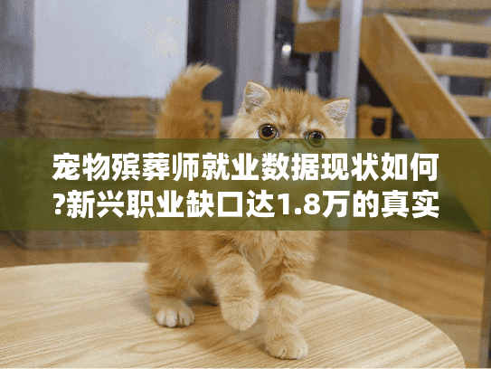 宠物殡葬师就业数据现状如何?新兴职业缺口达1.8万的真实解读