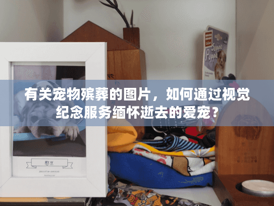 有关宠物殡葬的图片，如何通过视觉纪念服务缅怀逝去的爱宠？