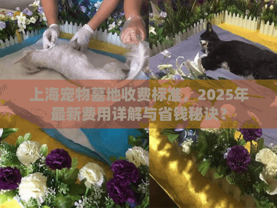 上海宠物墓地收费标准，2025年最新费用详解与省钱秘诀？